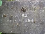 image of grave number 366167